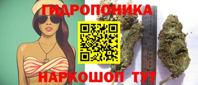 PSILOCYBIN Кинель