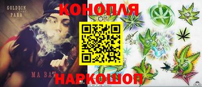 PSILOCYBIN Кинель
