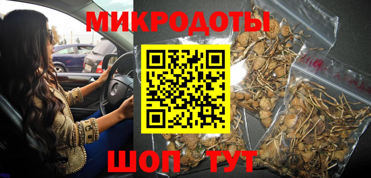 Кингисепп  Галлюциногенные грибы MAGIC MUSHROOMS  Галлюциногенные грибы мицелий  Вход с VPN 