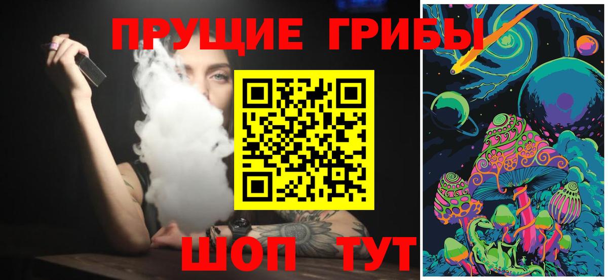 Галлюциногенные грибы мицелий Кингисепп